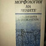 Морфология на вените