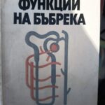 Функции на бъбрека