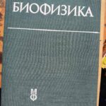Биофизика
