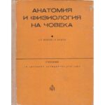 Анатомия и физиология на човека