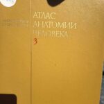 Атлас анатомии человека, том 3