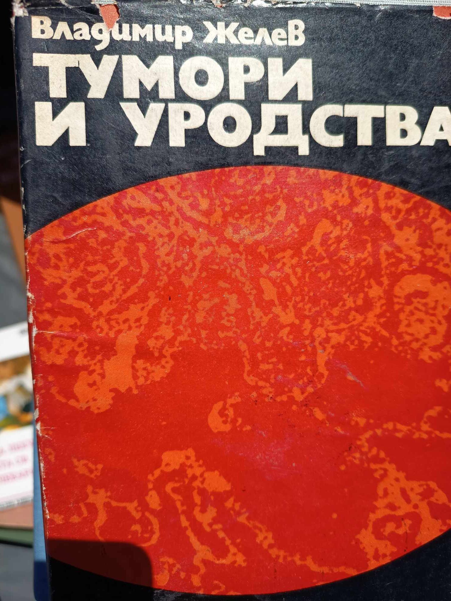 A (24) Тумори и уродства - Image 1