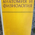 Анатомия и физиология на човека