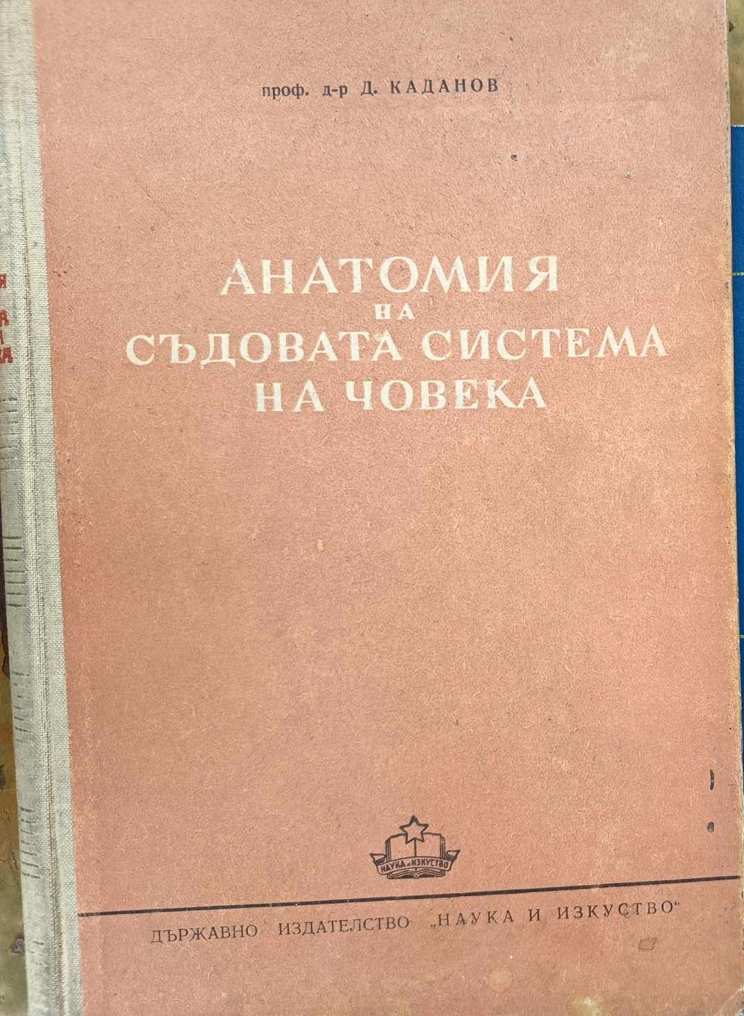 A (52) Анатомия на съдовата система на човека - Image 1
