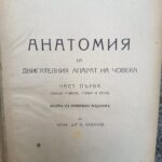 Анатомия на двигателния апарат на човека