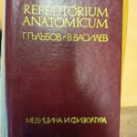 Repetitorium anatomicum
