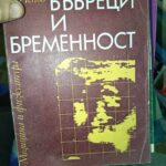 Бъбреци и бременност