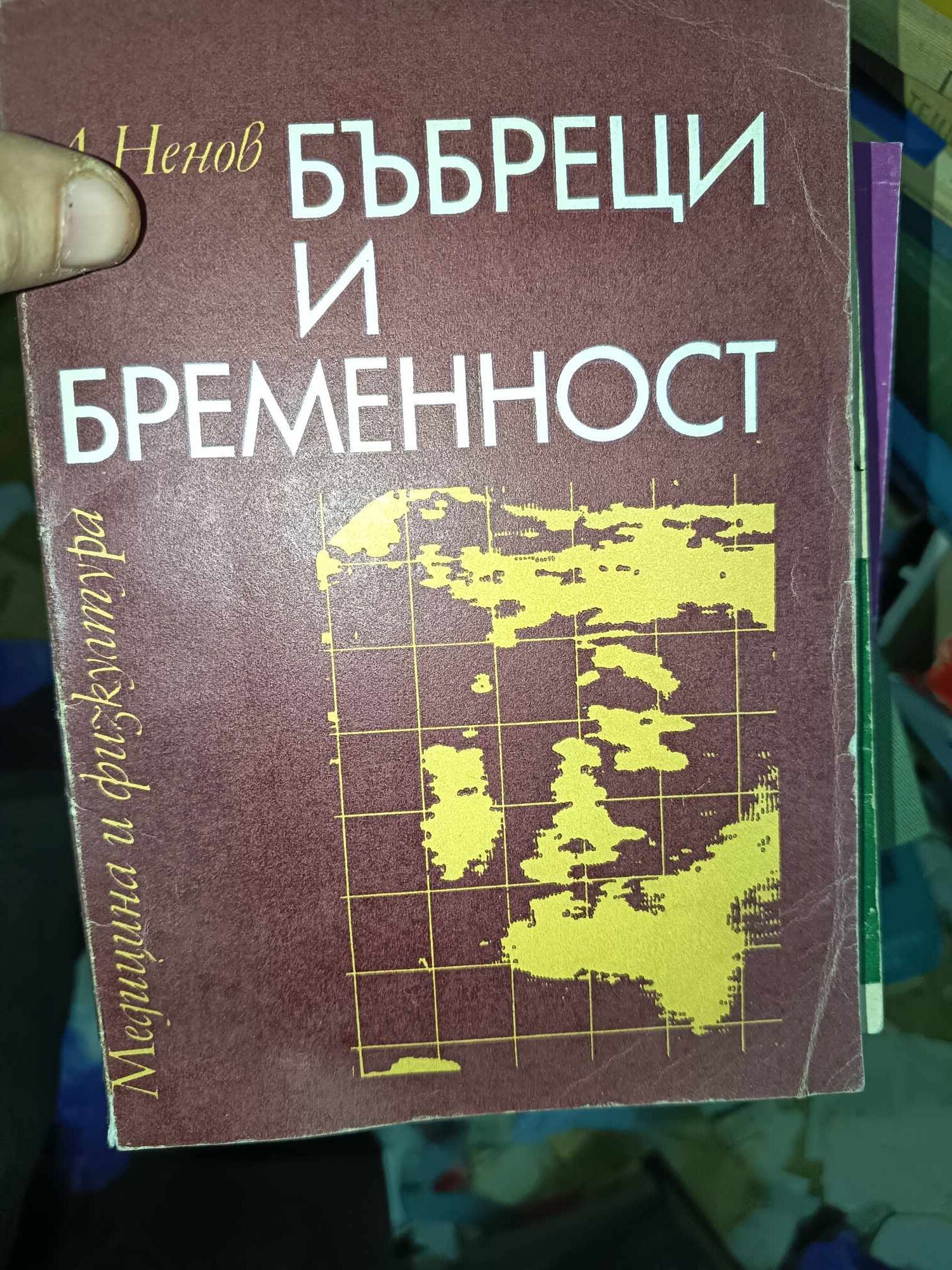 a33 Бъбреци и бременност - Image 1