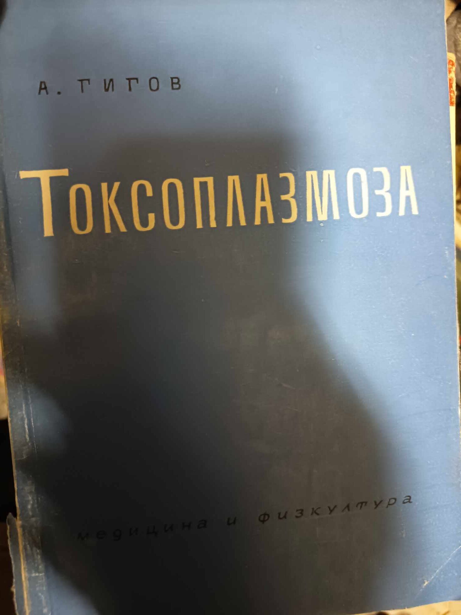 a46 Токсоплазмоза - Image 1