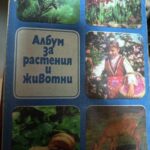 Албум за растения и животни