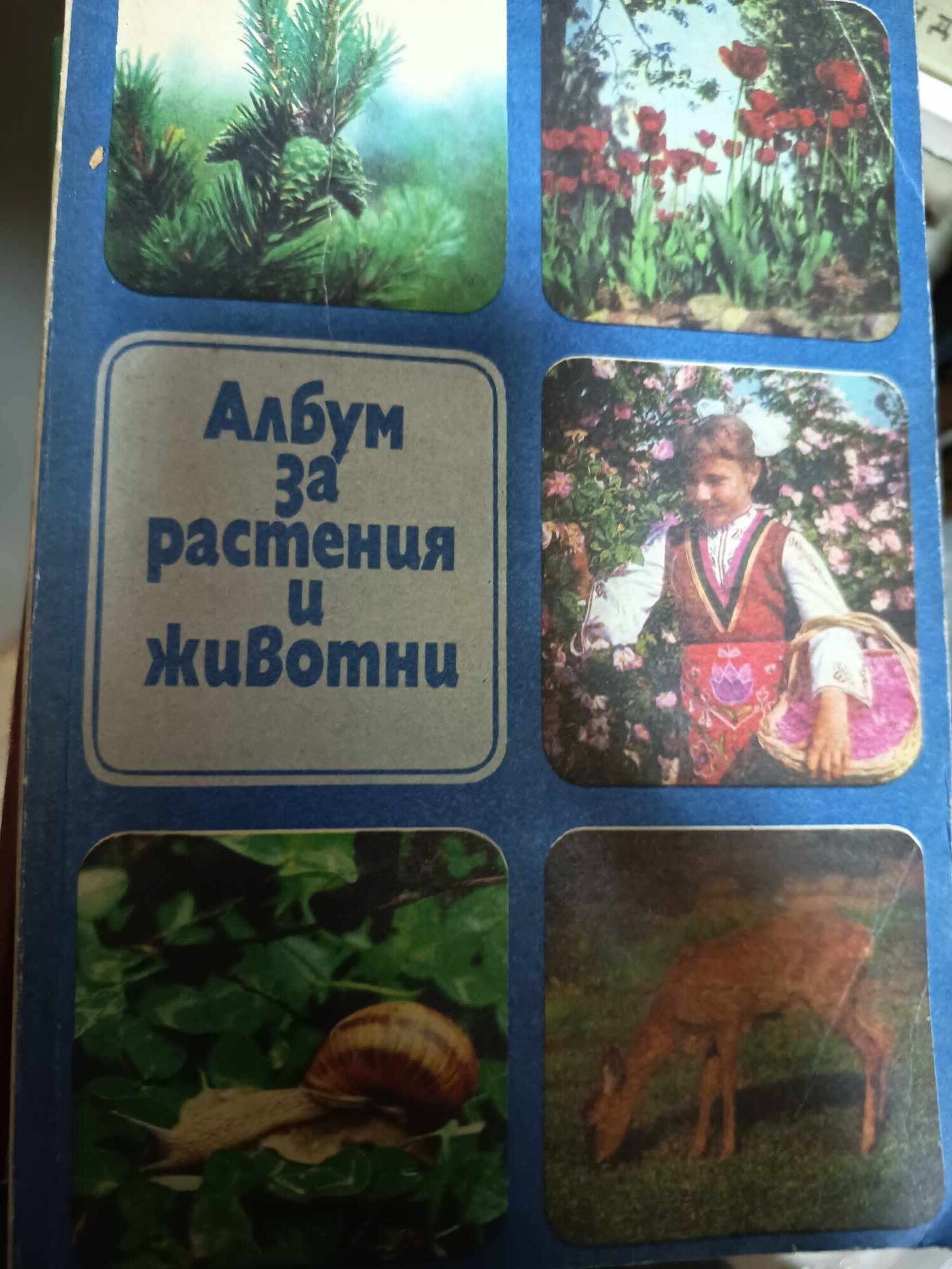 a68 Албум за растения и животни - Image 1