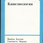 Кинезиология