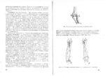 Кинезиология - Image 2